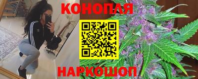 apvp Партизанск