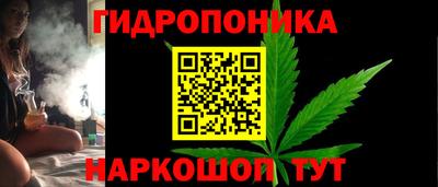 apvp Партизанск