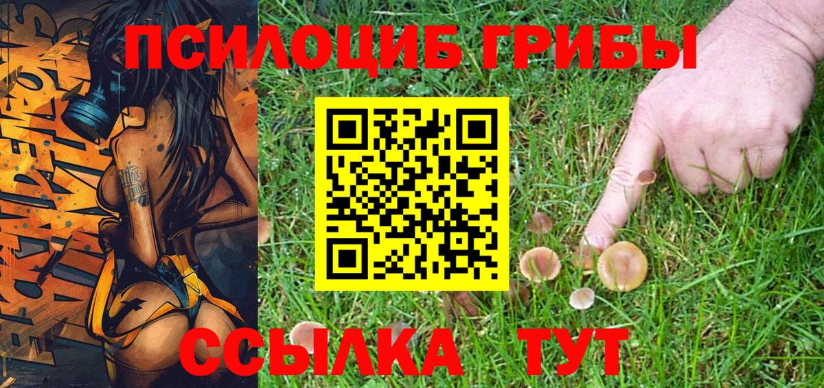 Галлюциногенные грибы Psilocybine cubensis  Вход с VPN  Сызрань 