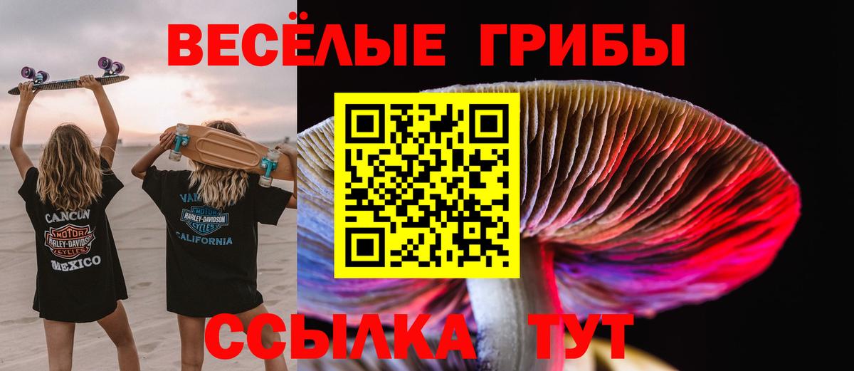 Псилоцибиновые грибы Cubensis Сызрань